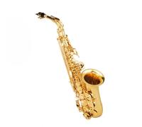 TSTS Kit de saxofón Saxofón Alto Profesional Principiante En Mi Bemol, Interpretación Alto para Adultos