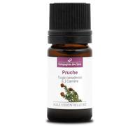 TSUGA DE CANADÁ - 5 mL - Aceite Esencial Orgánico de Calidad Superior - 100% Puro, Natural, Quimiotipado y Certificado AB