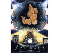Tsukiko Amano - Brand New Dvd [Alemania]