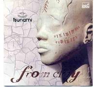 Tsunami - From Clay to Dust