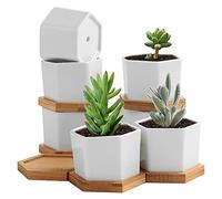TsunNee 6 macetas de cerámica de 2.7 pulgadas, macetas hexagonales de suculentas blancas, macetas de cerámica, escritorio o ventana, regalo