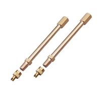 TSUOUKL 2 PCS Extensor de Válvula de 10 cm, Alargador de Válvulade Neumático, Metálicas Extensor de Válvula, Extensión de Válvula de Neumático, para Coche, Moto, Camión, Bicicleta