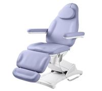 TT-YEC Cama De Belleza Profesional, Reclinador De Tatuaje De Masaje Eléctrico, Altura Ajustable, Cama De Spa Con Respaldo Y Reposapiés Ajustables, 3 Motor Salón De Belleza Cama Facial,Púrpura