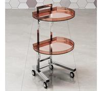 TT-YEC Carro De Peluquería Rodante De Acrílico De Dos Capas, Carro Portátil Para Herramientas De Belleza, Equipo De Peluquería Plegable De Acero Inoxidable,T