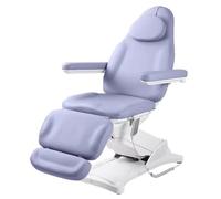 TT-YEC Sillón De Masaje Eléctrico Para Spa Con Cama De Belleza, Sillón Facial Independiente Con 3 Motores Con Respaldo Ajustable, Reposapiernas, Sillón De Masaje, Cama De Belleza,Púrpura