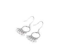 TTDGYYXW Shiny Ear Hooks Women Japanese Korean Style Jewelry Earrings Long Versatile Earrings,