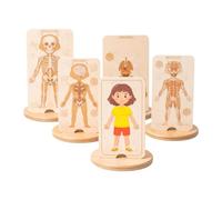 TTETTZ Juego de Anatomía Set de Rompecabezas Educativo en Madera Introduce El Estudio del Cuerpo Preescolar Y Estimulaci, Chica