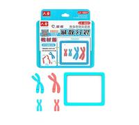 TTETTZ Kit de Modelo de Cambio Cromosómico en La Meiosis, Instrumento Didáctico Fácil de Usar para Estudiantes.