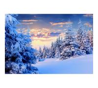 Ttincceer 1.8x1.2m Invierno Nieve Bosque Fondo País de Las Maravillas Escena Nevada Navidad Año Nuevo Festa Fotografía Fondo Niños Adulto Cumpleaños Decoración de Boda Banner Estudio Foto Prop