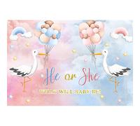 Ttincceer 180x120cm ¿Qué será el bebé? Fondo de fotografía Lindo Cisne Azul Rosa Globo Fondo Revelado de género para bebé Bautismo Decoración Banner