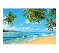 Ttincceer 2.5x1.8m Verano Playa Tropical Telón de Fondo Isla Costera Palmeras Fotografía Fondo para Imagen Mar Azul Cielo Sol Luau Decoraciones de Fiesta temáticas Banner Studio Props Vinilo