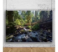 Ttincceer 300x200cm 3D Bosque telón de Fondo Primavera Verano Selva Tropical Paisaje Natural fotografía Fondo Corriente Piedra Gigante árbol Fondo Adulto niños Fondos de Viaje