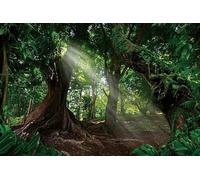 Ttincceer 300x250cm Bosque telón de Fondo Enorme árbol Antiguo temprano por la mañana Sol fotografía Fondo Selva Tropical Paisaje Natural fotografía telón de Fondo Estudio fotografía Accesorios