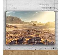 Ttincceer 300x250cm Desierto telón de Fondo Piedra montañas Verano Caliente Fuerte Sol fotografía Fondo Arena Reptil hábitat fotografía telón de Fondo Viaje Tiro Prop
