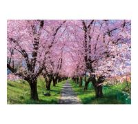 Ttincceer Flor de Cerezo Bosque Telón de Fondo 150x120cm Parque de Primavera Flores Románticas Fondo de Fotografía Floreciente Flor Rosa Árbol Sendero Fotografía Telón de Fondo Cabina de Fotos Prop