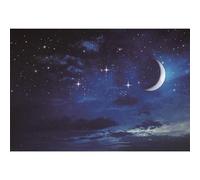 Ttincceer telón de Fondo de Noche Estrellada 220x150cm Brillante Luna Estrellas Brillante fotografía Fondo Azul Profundo Cielo Nocturno Estrellas fotografía telón de Fondo