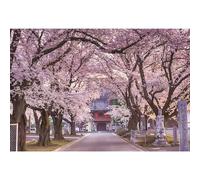 Ttincceer Telón de Fondo Japonés 150x100cm - Primavera Flor de Cerezo Bosque Carretera Fotografía - Arquitectura Retro Flores Floreciente - Fiesta de Boda