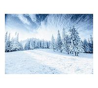 Ttincceer Telón de Fondo Nieve 300x200cm Invierno Montaña Bosque Escena de Nieve Fondo de fotografía de montaña de Bosque nevado para Fiesta de Navidad de Año Nuevo Decorion Banners