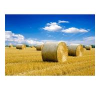 Ttincceer Telón de Fondo otoño pajar 3x2m Granja Campo Pastoral Paisaje Fondo otoño Cosecha Azul Cielo Blanco Nube fotografía Telón de Fondo Estudio Retrato Foto Accesorios