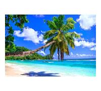 Ttincceer telón de Fondo Summer Beach para fotografía Hawaii Seaside Tropical Palm Tree Fondo 3x2.5m Blue Sea Luau Fiesta Baby Shower fotografía telón de Fondo cumpleaños Boda Foto Banner