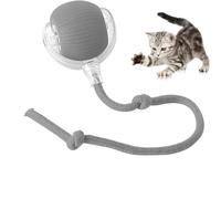 TTPOLONG - Juguete interactivo para gato, tres modos ajustables con función de despertador para perro gato (gris)