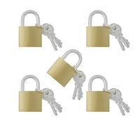 TTQiAnJ 5 Pieza Candados Pequeños con Llaves,32mm Candado de Seguridad,Metálica Pequeño Mini Candados Con 3 Llaves para Maletas,Mochilas,Ventanas,Dorado