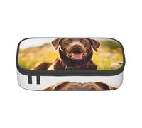 TTYDOKLA Estuche de tela Oxford con estampado de labrador retriever marrón con múltiples compartimentos, ideal para viajes u oficina, Black, Talla única, Neceser de maquillaje