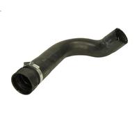 Tubería de radiado LEMA 3904.35 para IVECO EUROSTAR 12.882 1993-2002