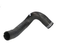 Tubería de radiado THERMOTEC DCF052TT para FIAT QUBO (225_) 1.3 2008-