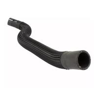 Tubería de radiador Compatible Con Ford Para Mustang 2.3L 2015 2016 2017 2018 2019 2020 2021 2022 2023 Manguera Del Radiador Del Motor OEM FR3Z8286B FR338286AA