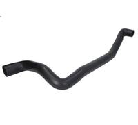 Manguera del radiador SASIC SWH6795