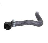 Tubería de radiador THERMOTEC DWF130TT para DOBLO Autobús (263_) 1.3 2010-2023