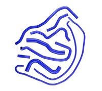 Tubería radiador auto Compatible Con Ford Para Fiesta Mk6 ST 150 Facelift 2006 2007 2008 2.0 Para Duratec ST Motor Kit Manguera Refrigerante De Silicona Para Automóvil Mangueras De Radiador