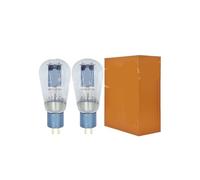 Tubo 2A3 A2A3, actualización WR2A3 2A3C 2A3B 2A3T WE2A3, Amplificador de Tubo for Audio HiFi, combinación precisión DIY(1Pair Matched)