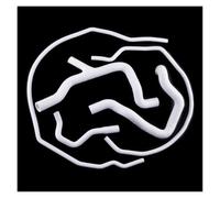 Tubo Admisión Aire Para Ford Para Focus RS Mk2 2009 2010 2011 Kit De Tubo De Manguera De Refrigerante De Radiador De Silicona Con Temperatura De Presión Toma Aire(Blanco)