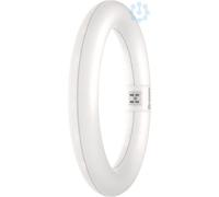 TUBO CLASE VALOR T9 FR 22 NO TENUE 11W/830 G10Q 4099854042447