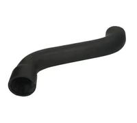 Tubo de admisión del filtro de aire DCR073TT THERMOTEC para RENAULT MEGANE I