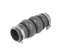 Tubo de admisión del filtro de aire izquierda DCC014TTS THERMOTEC para PEUGEOT