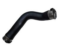 BUGIAD 81734 Tubo flexible de aire de sobrealimentación