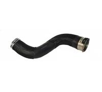 Tubo de aire 82331 BUGIAD para RENAULT SCÉNIC III GRAND SCÉNIC III MEGANE CC