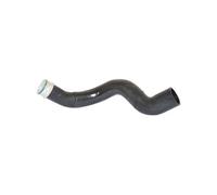 BUGIAD 86601 Tubo flexible de aire de sobrealimentación