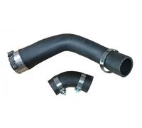 Tubo de aire Caucho 82090 BUGIAD para DACIA RENAULT