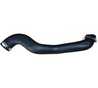 Tubo de aire Caucho 82161 BUGIAD para FORD KUGA I