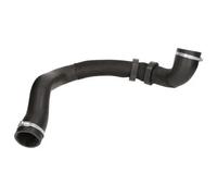 Manguera de aire de carga THERMOTEC DCY003TT