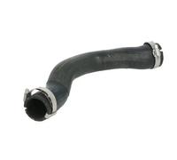 Manguera de aire de sobrealimentación THERMOTEC DCA020TT para A6 C6 3 2004-2006
