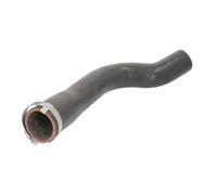 Manguera de aire de carga THERMOTEC DCI036TT