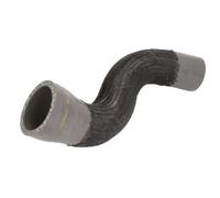 Manguera de aire de carga THERMOTEC DCR181TTS