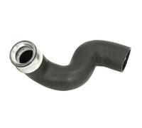Manguera de aire de carga THERMOTEC DCW178TT