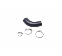 Tubo de aire izquierda 43SKV281 ESEN SKV para RENAULT SCÉNIC III MEGANE CC