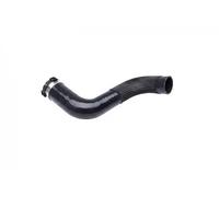Tubo de aire izquierda 43SKV282 ESEN SKV para RENAULT SCÉNIC III MEGANE CC